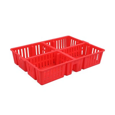 Caixa de transporte de pintinhos de plástico