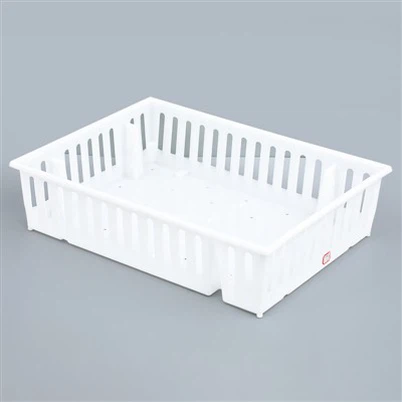 Caixa de plástico para pintinhos de um dia