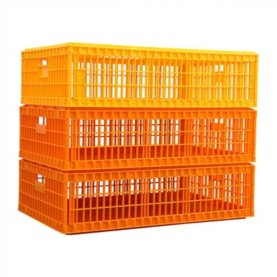 Caixa plástica de transporte de frango vivo