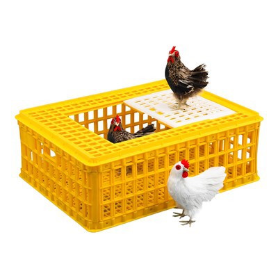 Caixa de plástico para frango com porta deslizante