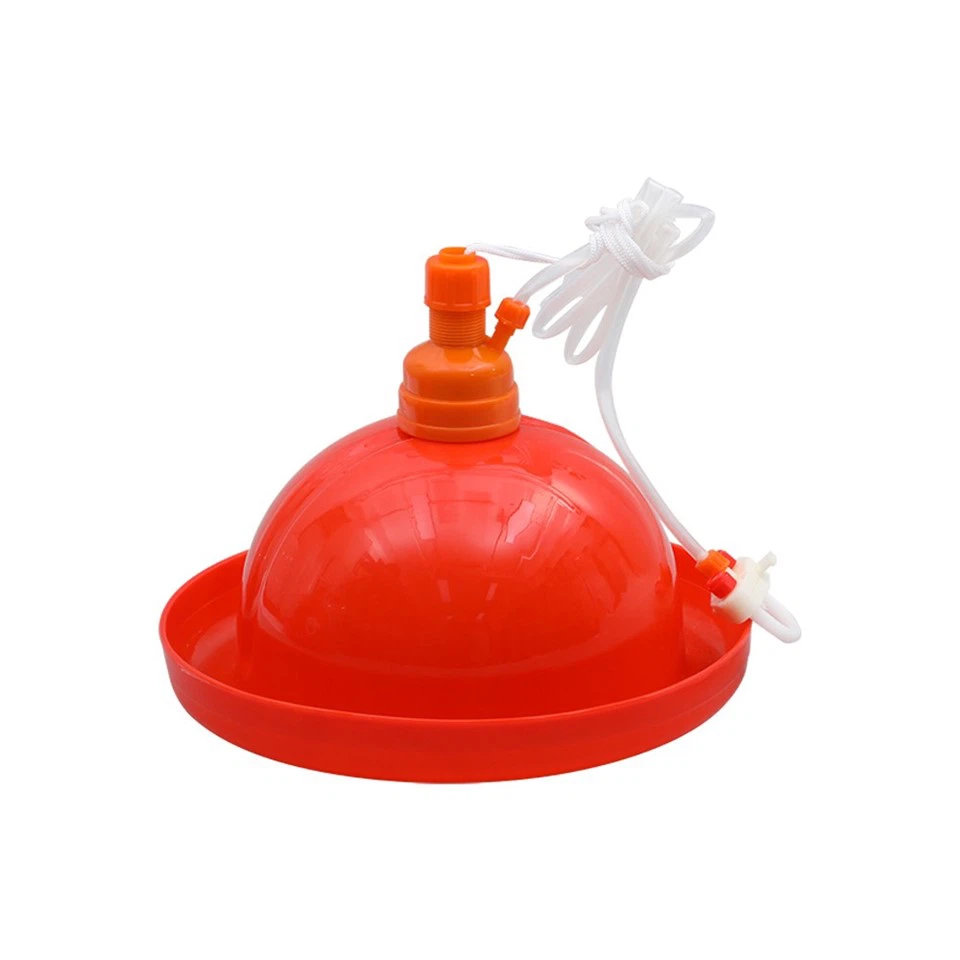 Compact Jumbo Drinker