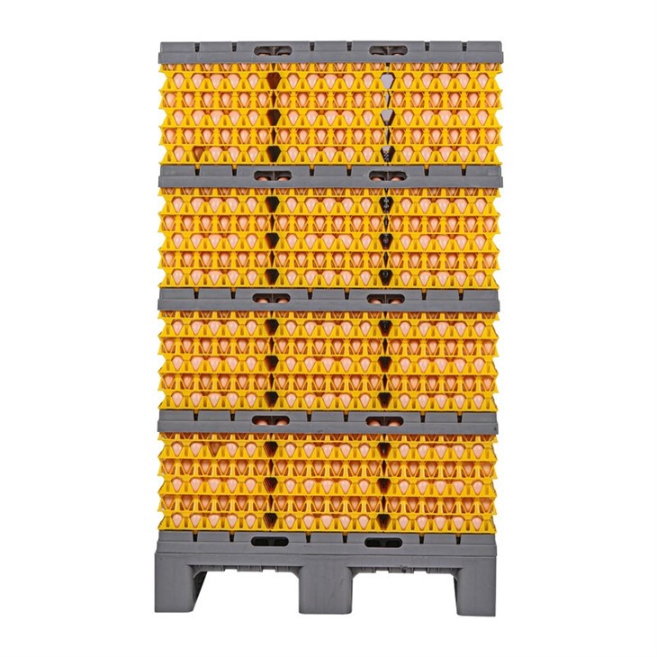 Egg Pallet System
