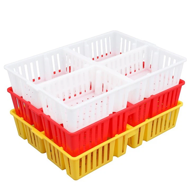 Plastic Chick Box 4 Compartments