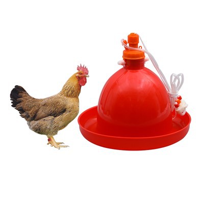 Bebedor automático de plástico para frango