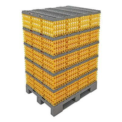 Sistema de carga de ovos 4/5/6 camadas