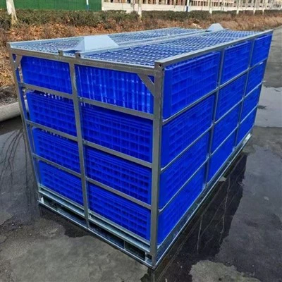 Módulo de transporte de pássaros ao vivo